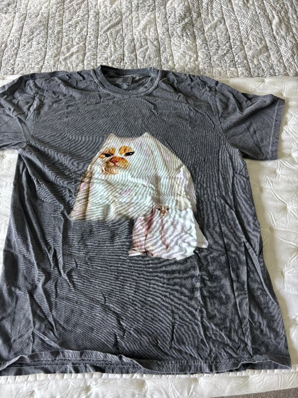 NEW Orange Cat Ghost graphic tee, Large